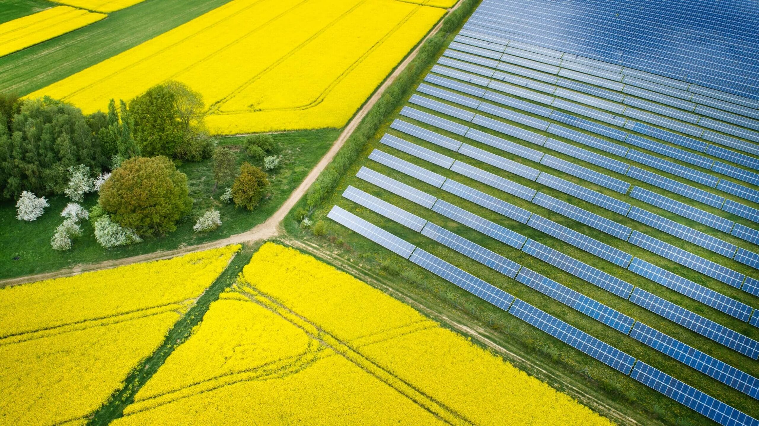 An aerial view of solar panels in a yellow field