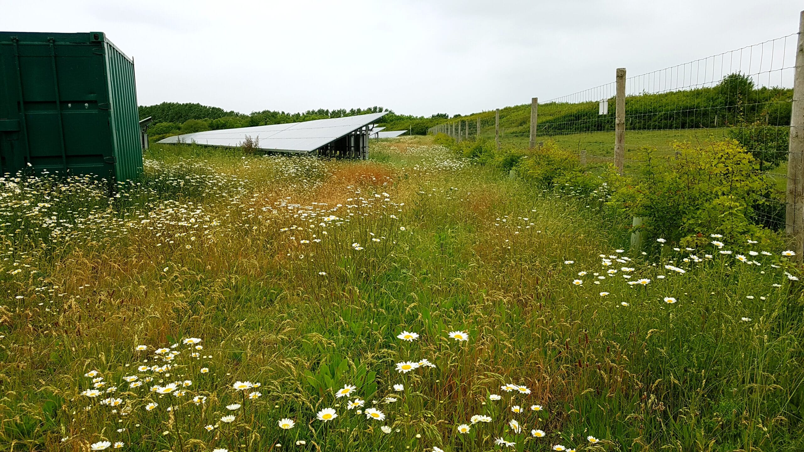 20190529_113504-scaled