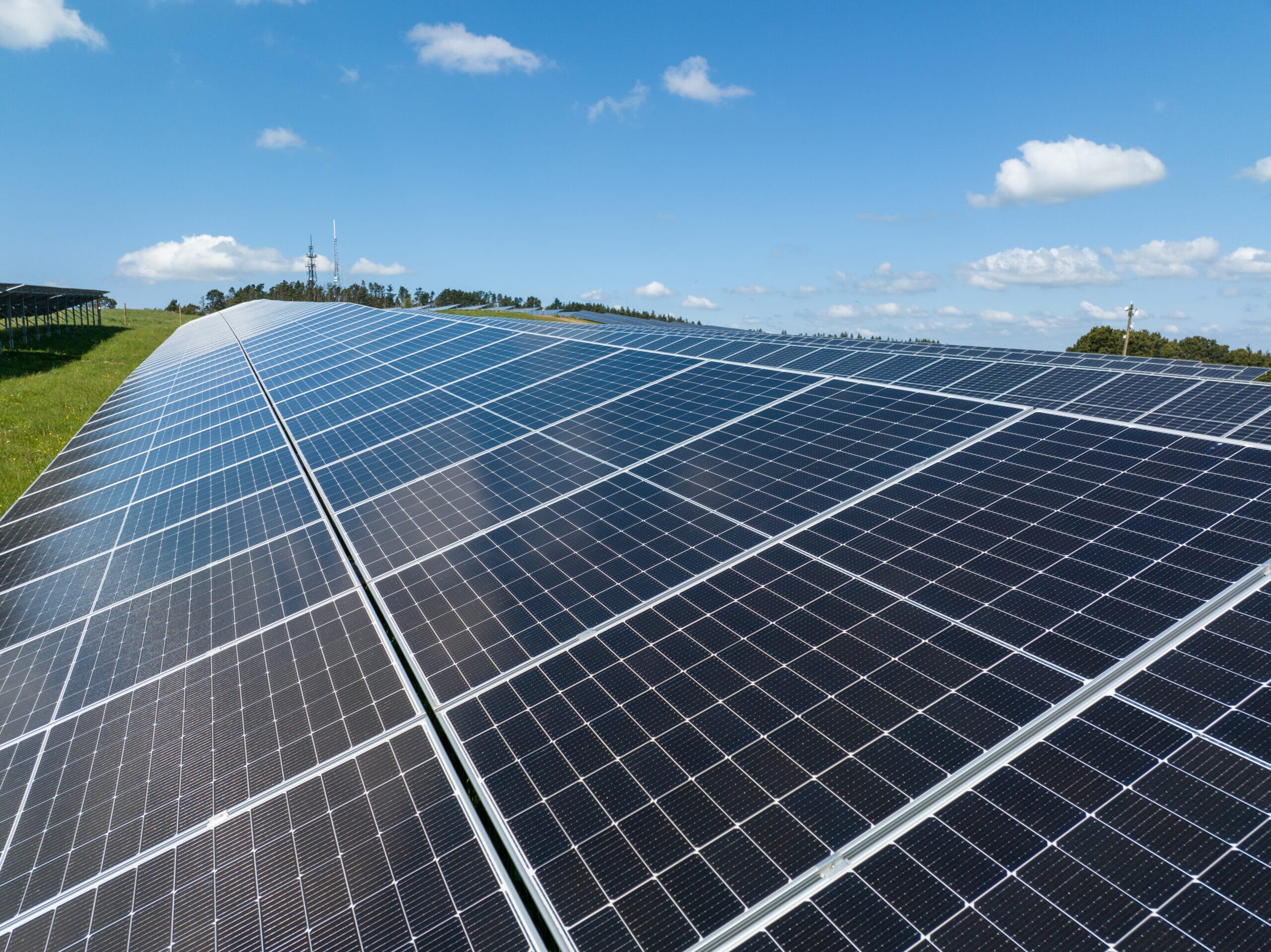 Innova-Carn-Nicholas-May-2023_42-scaled