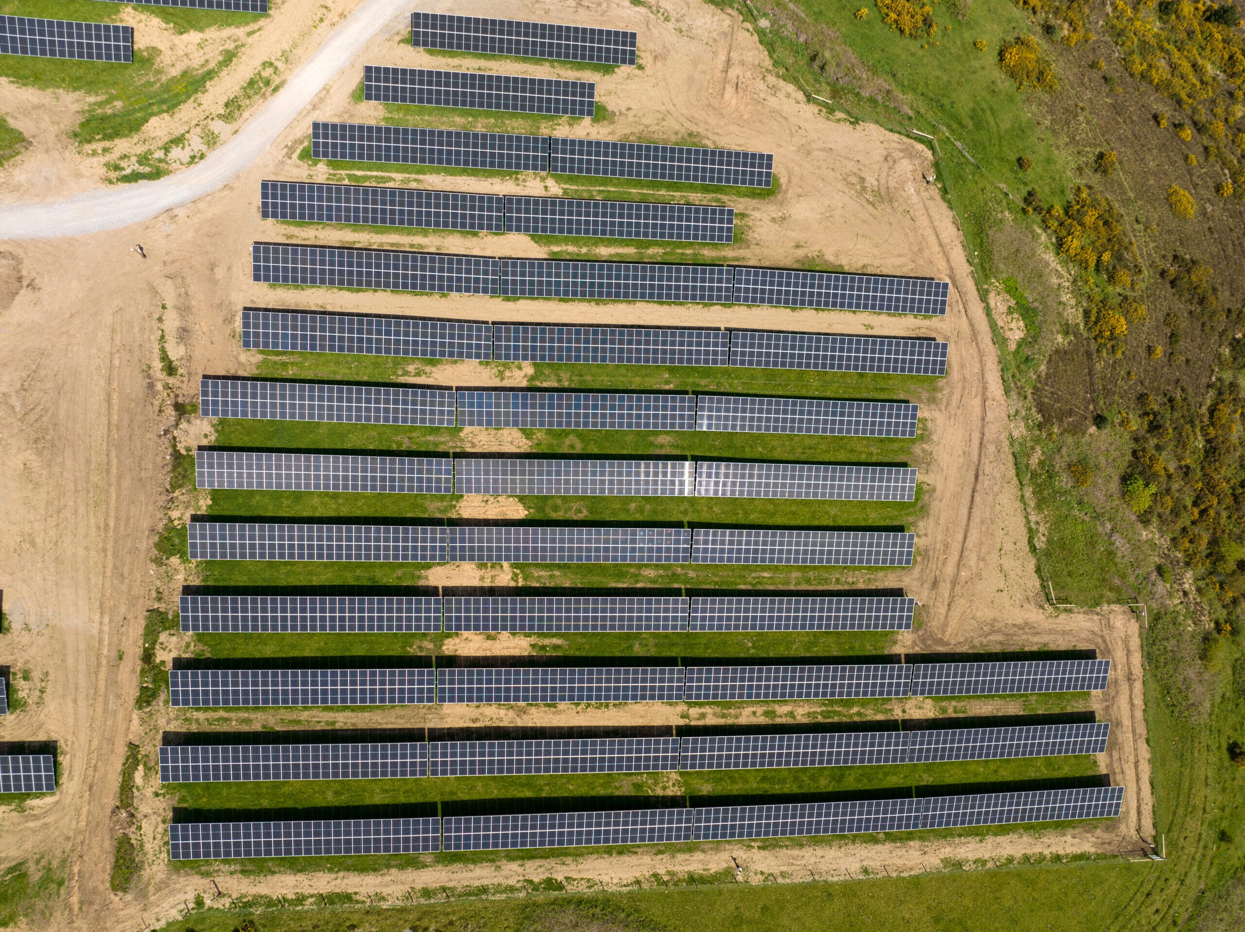 Innova-Carn-Nicholas-May-2023_88-scaled