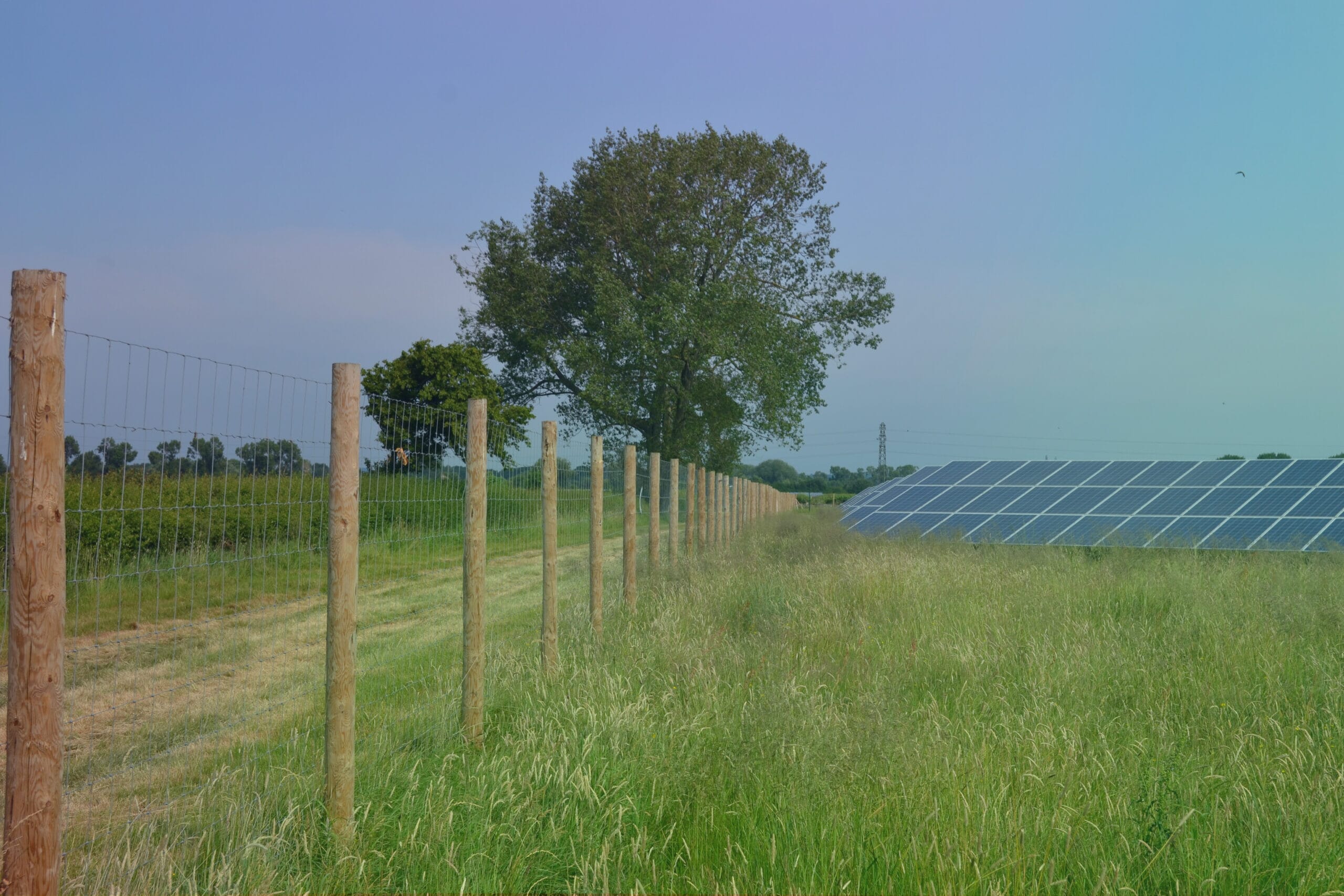 Perimeter-fencing-on-a-solar-farm-scaled