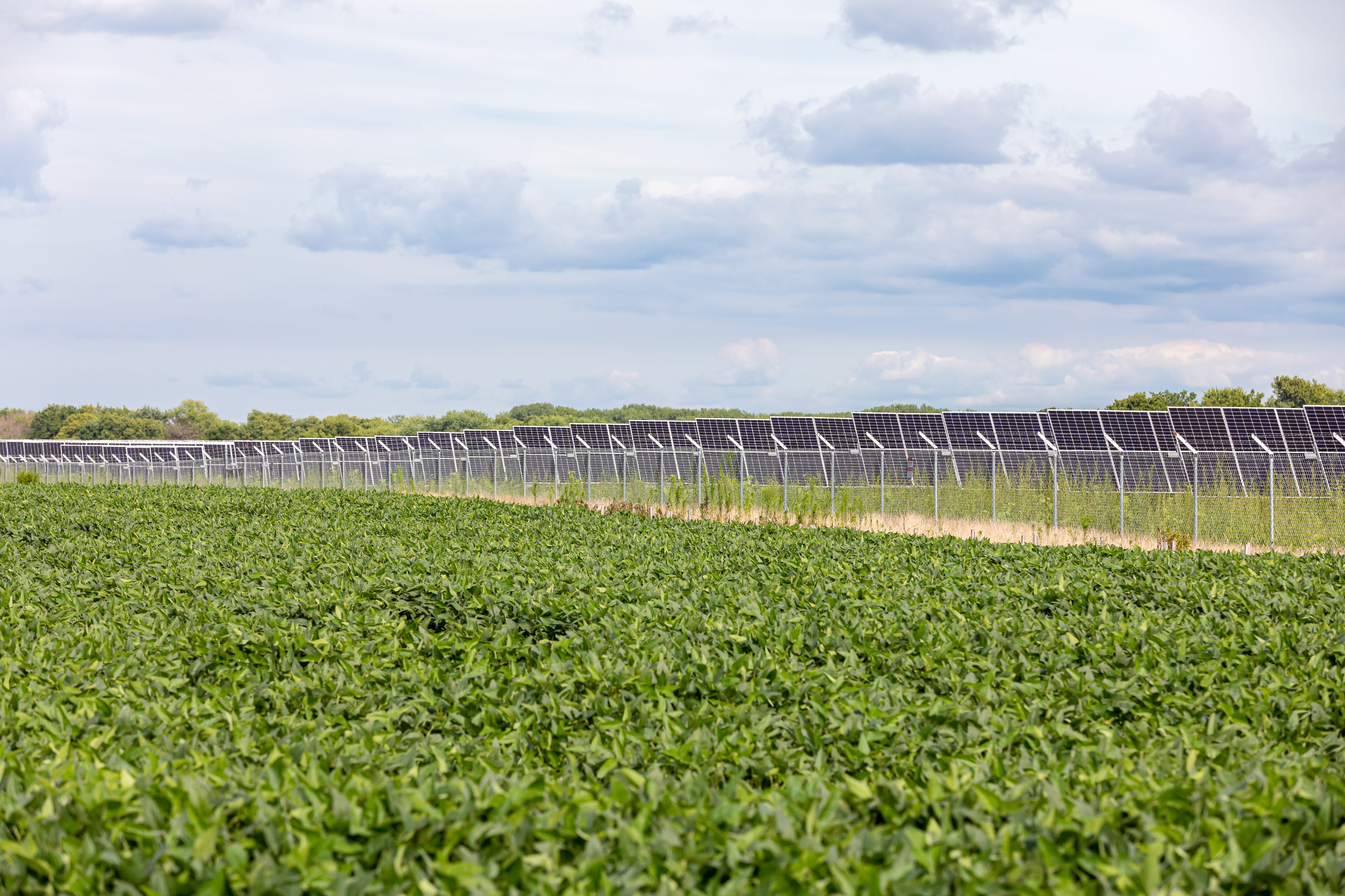 A-field-of-crops-with-a-solar-farm-in-the-background-representing-the-benefits-of-renewable-energy-developments-for-landowners