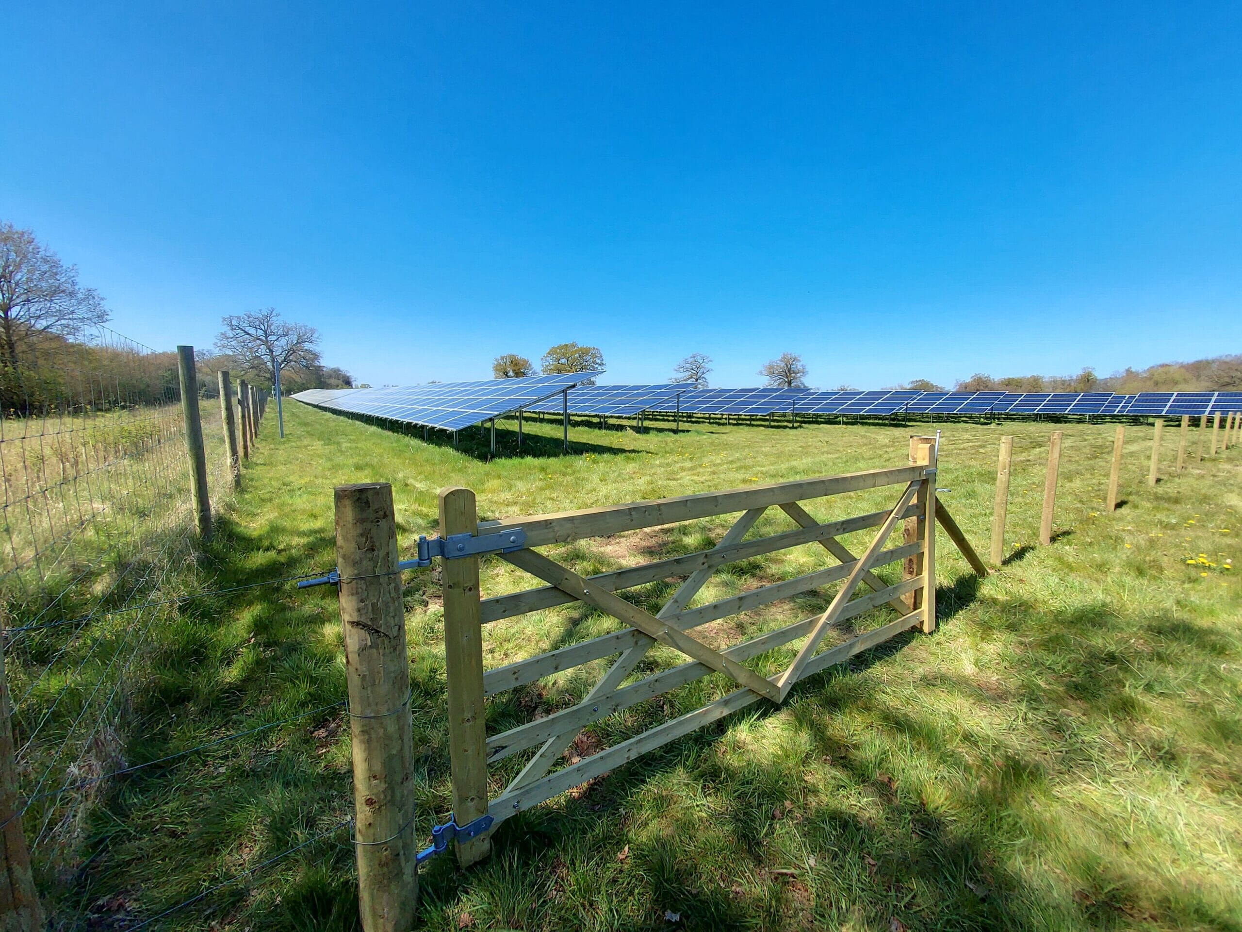A-wildflower-area-at-Innovas-solar-site-in-Taunton-scaled